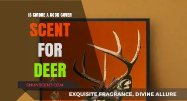 Deer Hunting Strategies: Evaluating Smoke as a Cover Scent