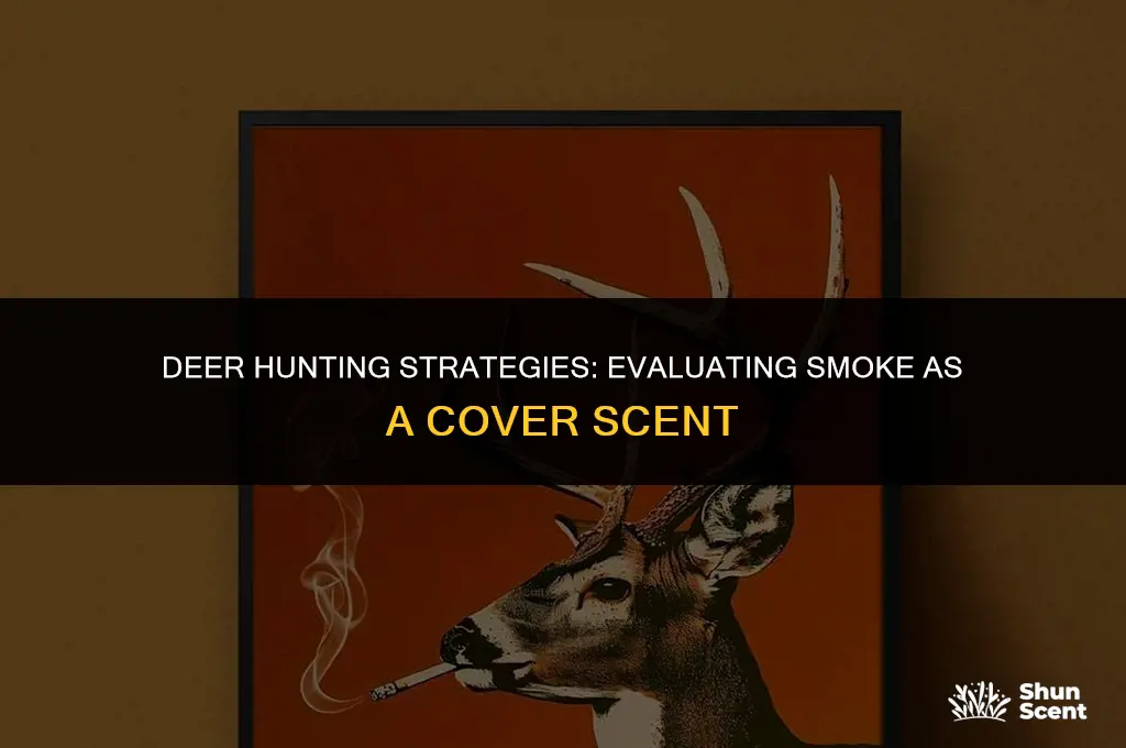 is smoke a good cover scent for deer