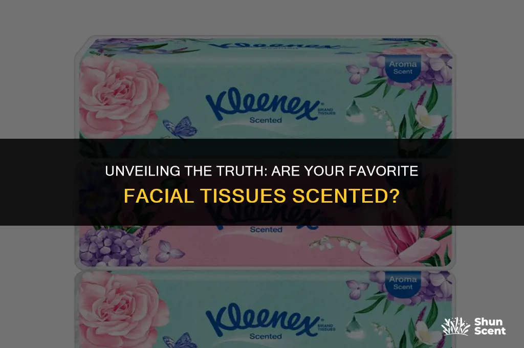 is some brand of facial tissue scented