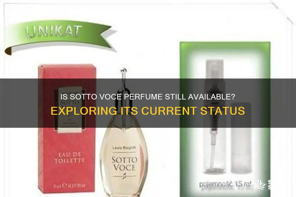 is sotto vocce perfume still made