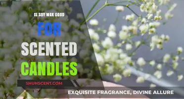The Sweet Scent of Sustainability: Is Soy Wax the Perfect Choice for Your Candles?