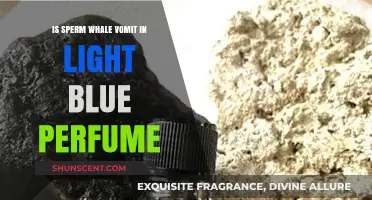 Is Ambergris, Sperm Whale Vomit, the Secret in Light Blue Perfume?