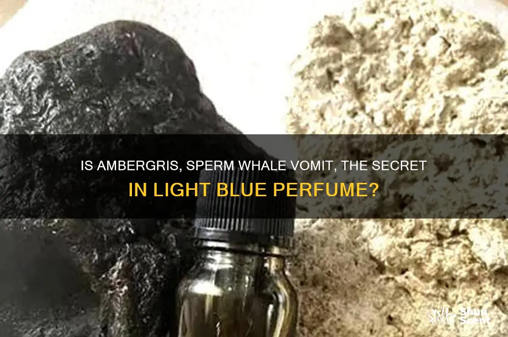 is sperm whale vomit in light blue perfume