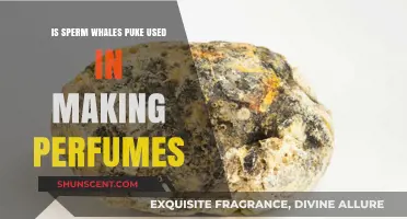 Sperm Whales' Vomit: A Surprising Ingredient in Perfumes?