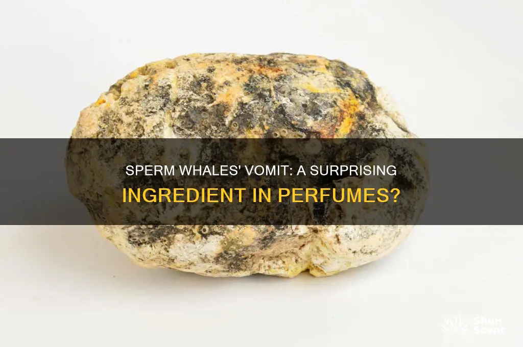is sperm whales puke used in making perfumes