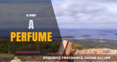 Is Spirit a Perfume? Unveiling the Scent's True Nature and Essence