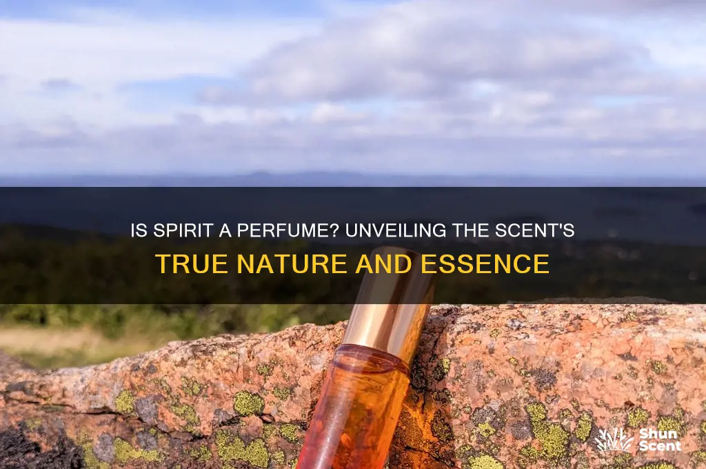is spirit a perfume