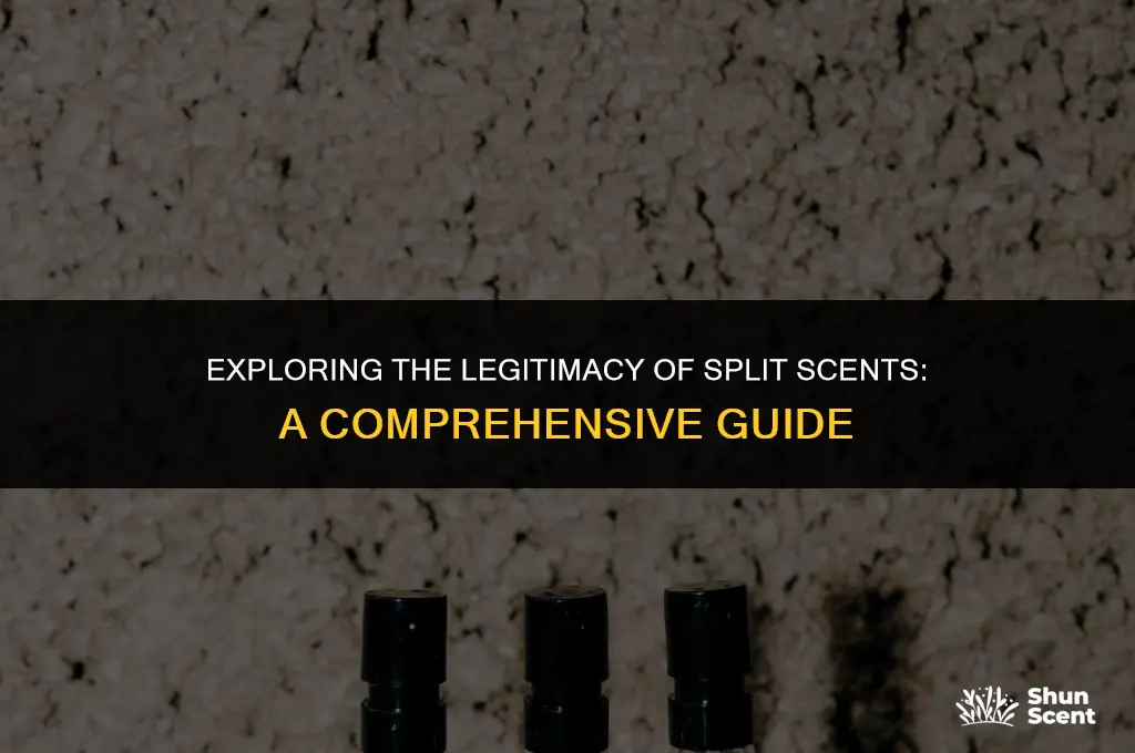 is split scent legit