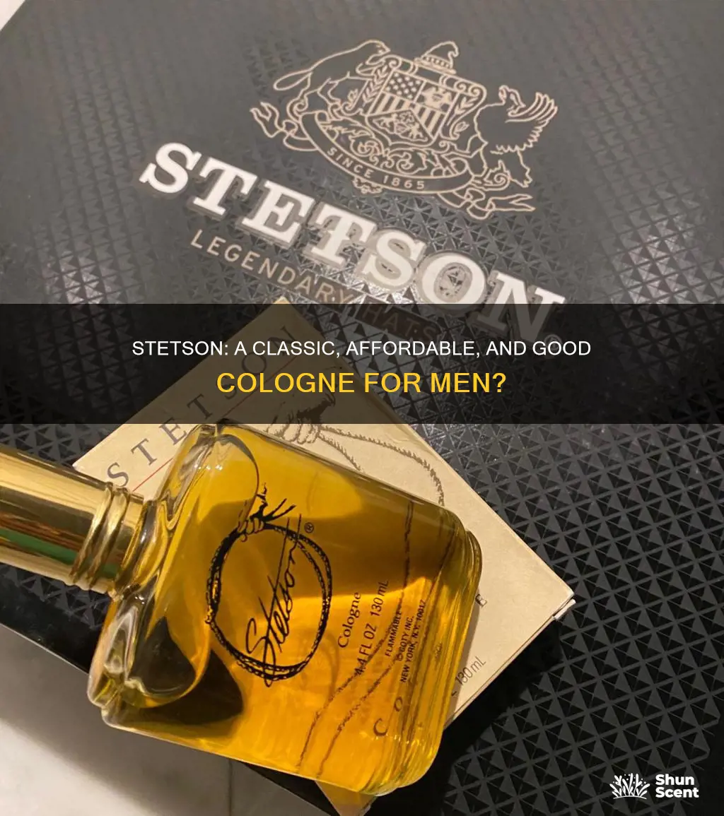 is stetson a good cologne