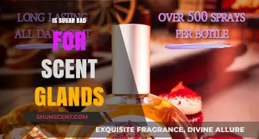 The Sweet Deception: Sugar's Impact on Scent Glands Revealed