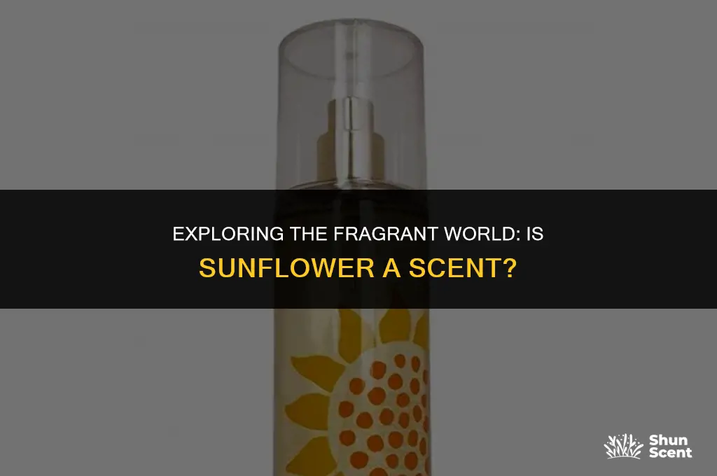 is sunflower a scent