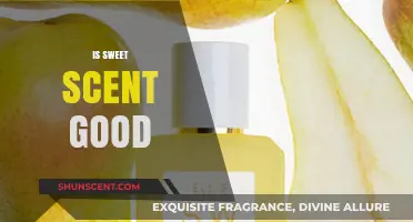 Exploring the Delightful World of Sweet Scents: A Fragrant Journey