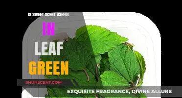 Exploring the Benefits of Sweet Scents in Leafy Greens