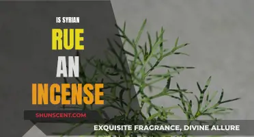 Syrian Rue: Exploring Its Use as Incense