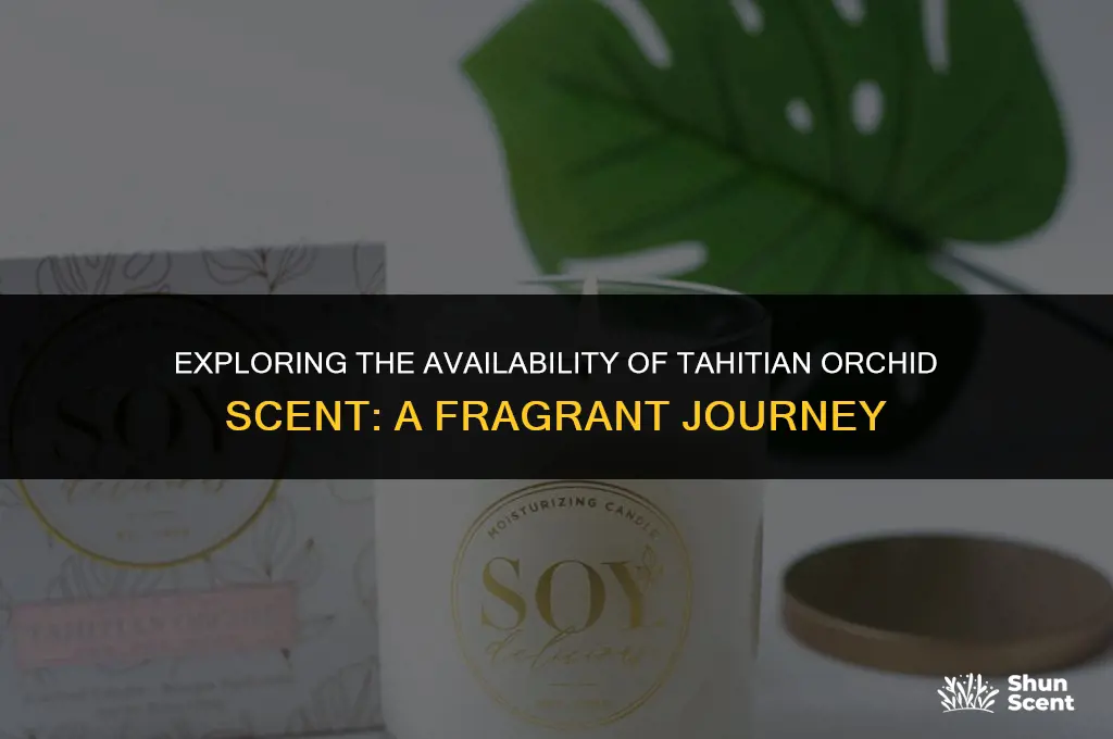 is tahitian orchid scent still available