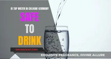 Cologne's Tap Water: Safe to Drink?