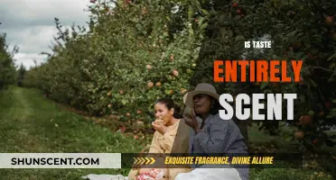 The Intriguing Link Between Taste and Scent: A Culinary Exploration