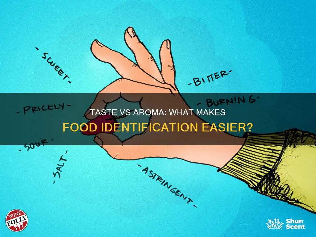 is taste or aroma more important in food identification