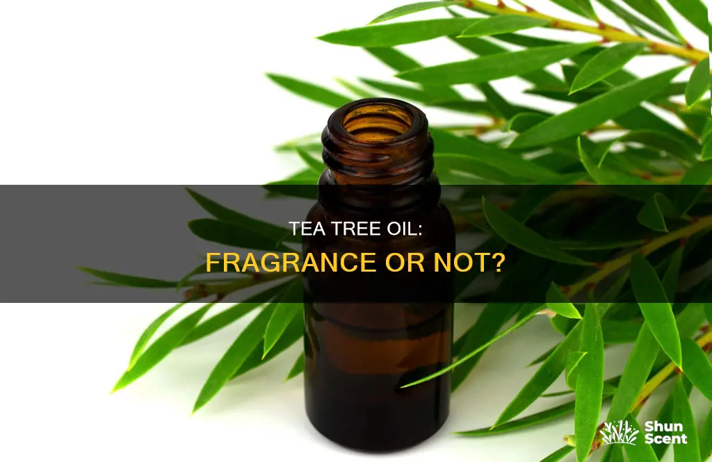 is tea tree oil a fragrance