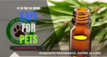 Tea Tree Oil Aroma: Is It Pet-Friendly?