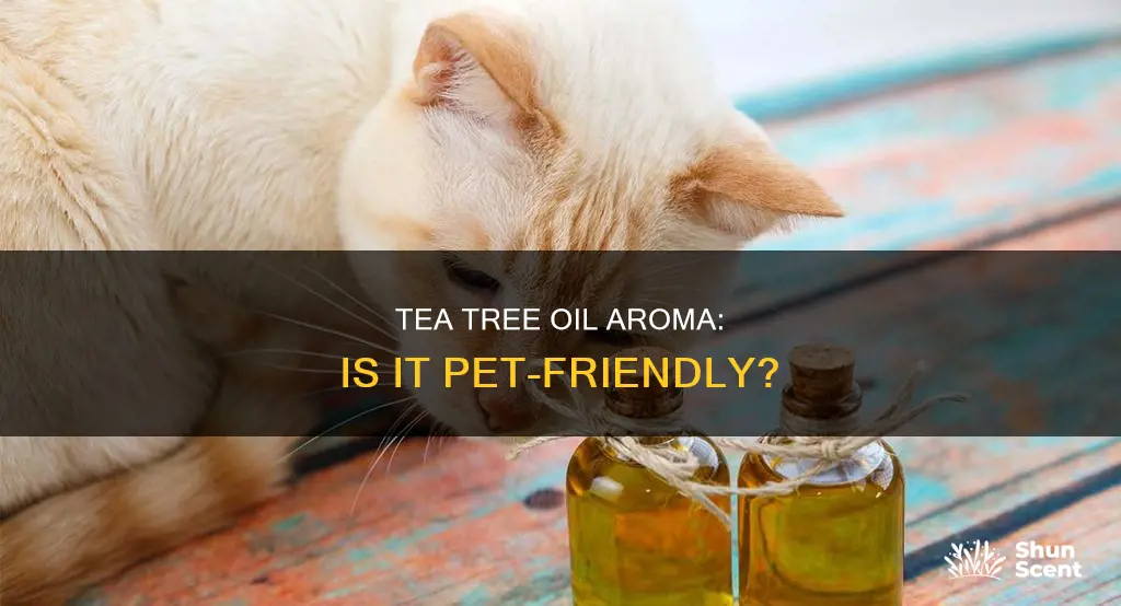 is tea tree oil aroma safe for pets