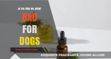 Tea Tree Oil: Understanding Its Impact on Canine Health and Safety