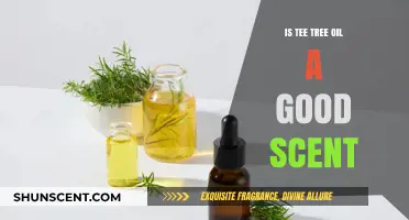 Exploring the Invigorating Aroma of Tea Tree Oil: A Fresh Perspective
