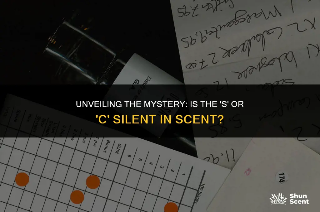 is tge s or c silent in scent