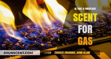 Exploring the Warmth: Gas Fireplaces and Their Enchanting Scents