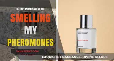 Decoding the Musk: Understanding Your Body's Pheromones