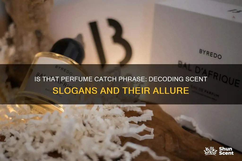 is that perfume catch phrase