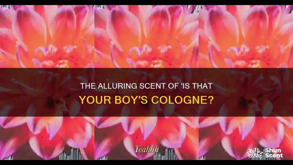 is that your boys cologne song