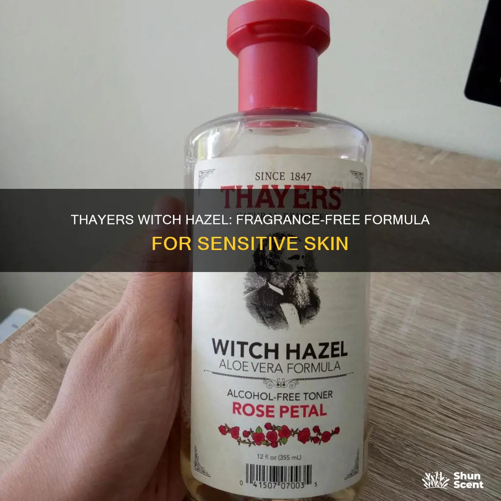 is thayers witch hazel fragrance free