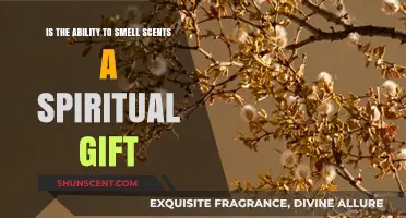 Unlocking the Mysteries: Is the Ability to Smell Scents a Spiritual Gift?
