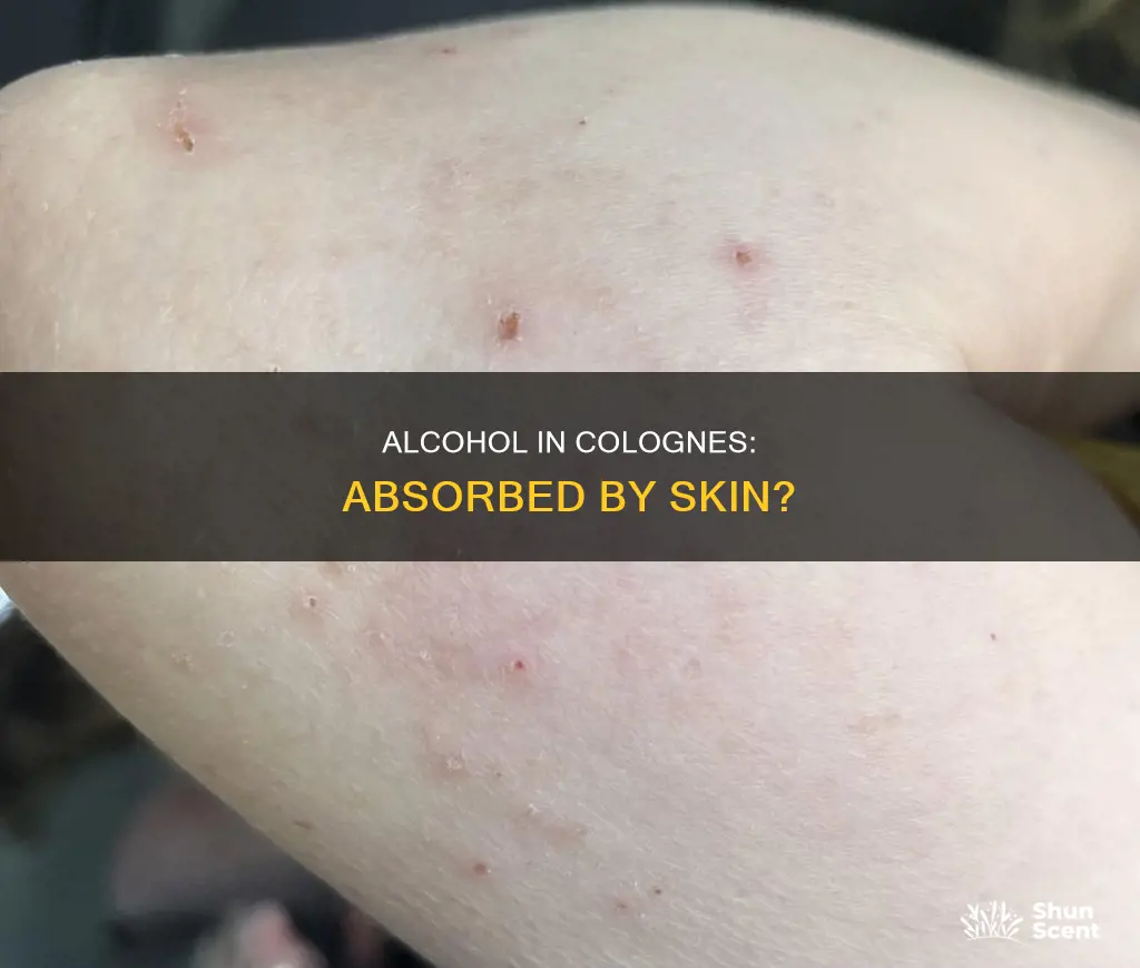 is the alcohol used in colognes asorbed into the skin