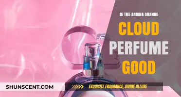 Ariana Grande Cloud Perfume Review: Is It Worth the Hype?