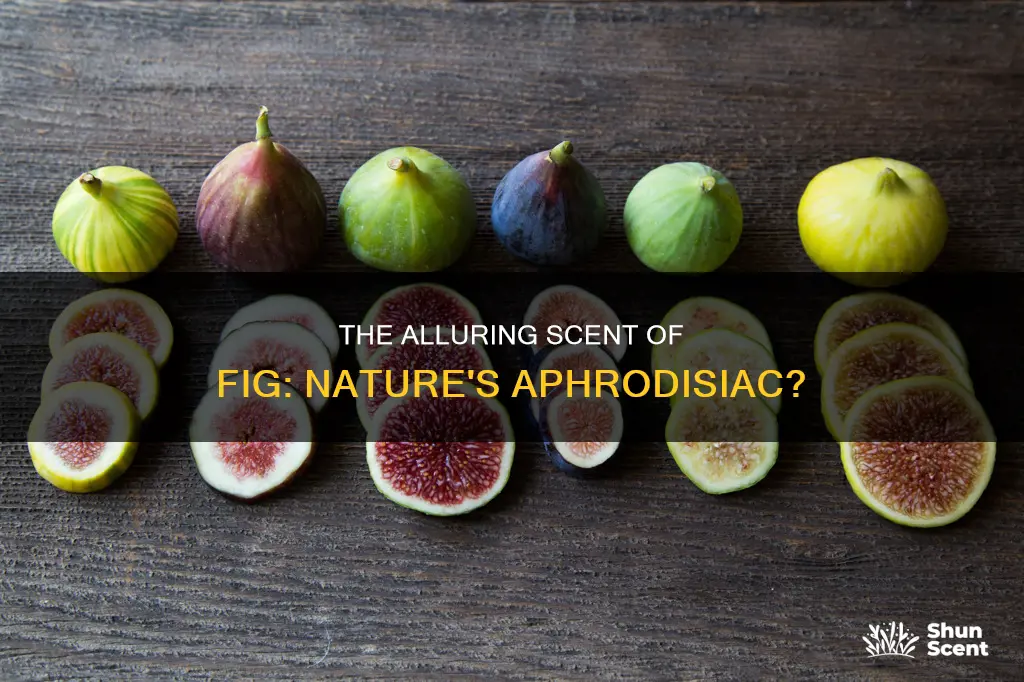 is the aroma of a fig plant aphrodisiac