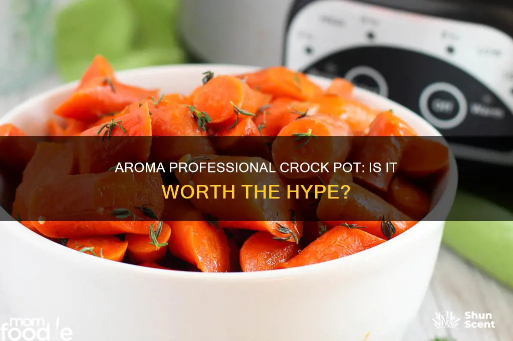 is the aroma professional a crock pot