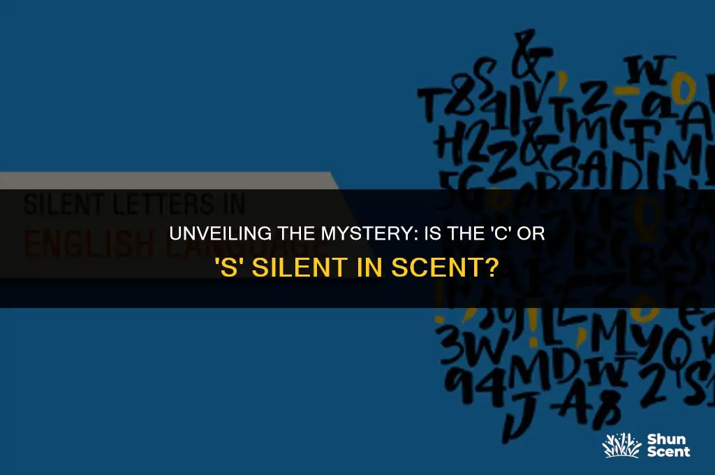 is the c or s silent in scent