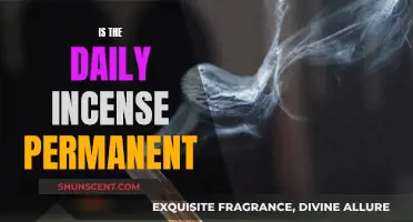 Incense Permanence: Daily Rituals and Their Future