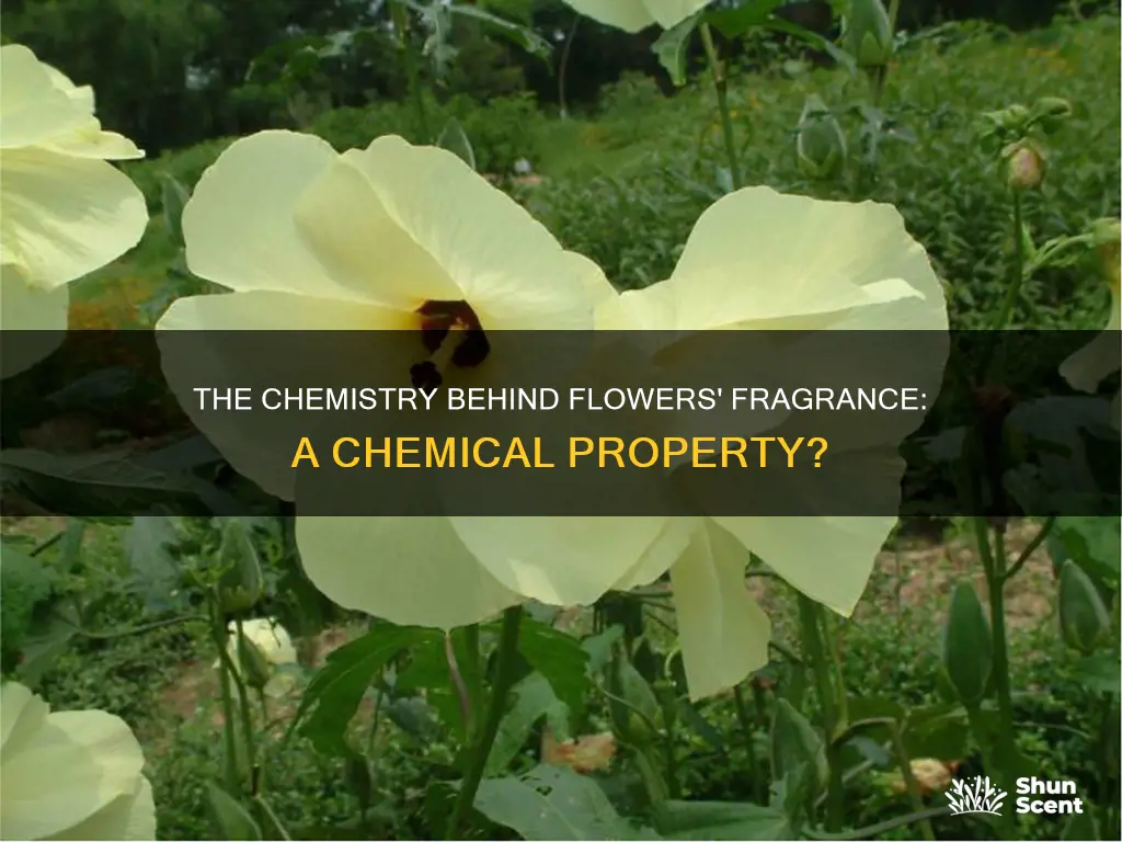 is the fragrance of a flower a chemical property