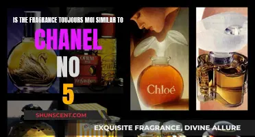 Is Fragrance 'Toujours Moi' Similar to Chanel No. 5? Unveiling the Notes