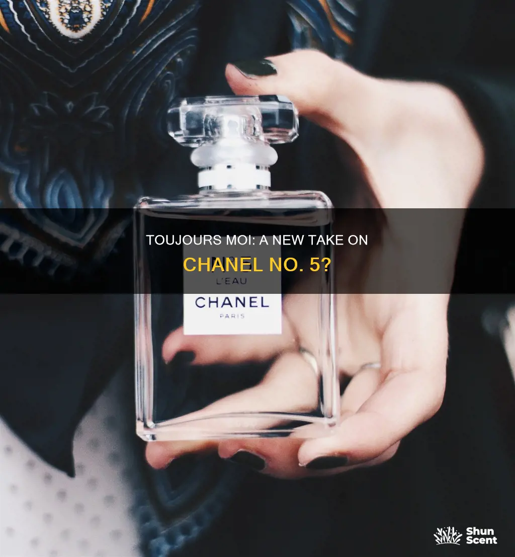 is the fragrance toujours moi similar to chanel no 5