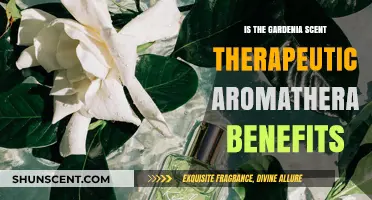 Exploring Gardenia's Therapeutic Aromatherapy Benefits: A Fragrant Journey