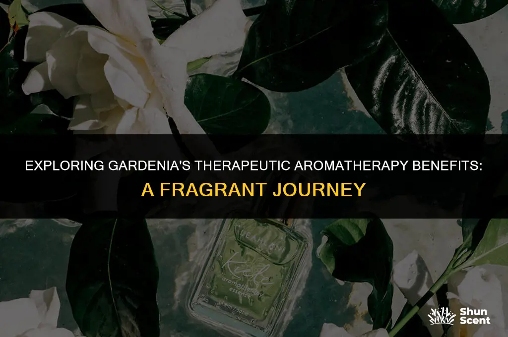 is the gardenia scent therapeutic aromatherapy benefits