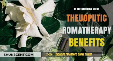 Exploring Gardenia's Therapeutic Aromatherapy Benefits: A Fragrant Journey