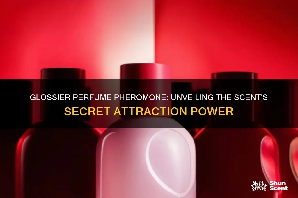 is the glossier perfume pheromone