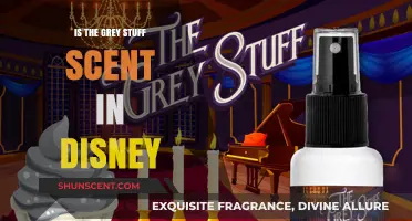 Unveiling the Magic: The Truth Behind Disney's Grey Stuff Scent