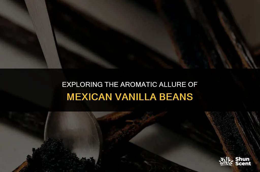 is the mexican vanilla bean have a strong scent