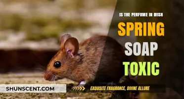 Is Irish Spring Soap's Perfume Toxic? Uncovering the Truth